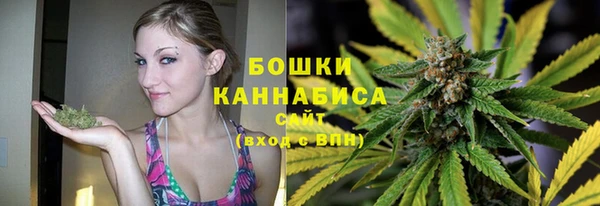 тгк Нея