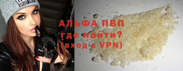 индика Нефтекумск