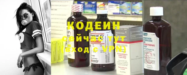 тгк Нея