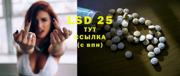 индика Нефтекумск
