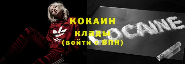 индика Нефтекумск