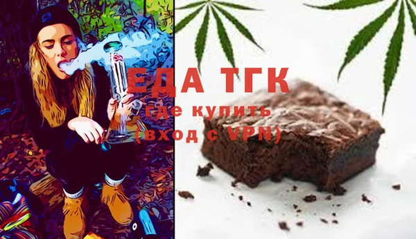 индика Нефтекумск