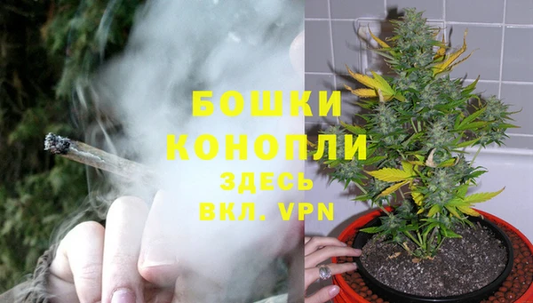тгк Нея