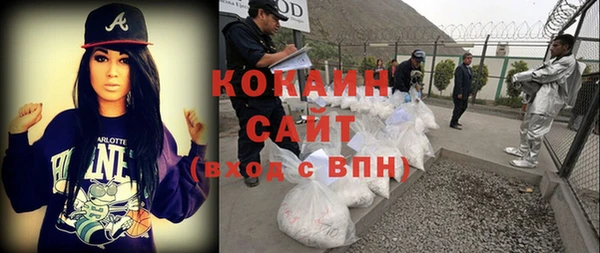 стафф Новозыбков