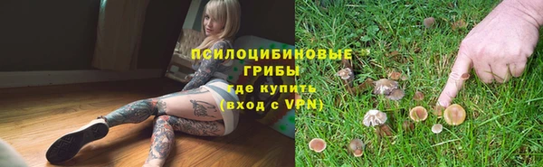 тгк Нея