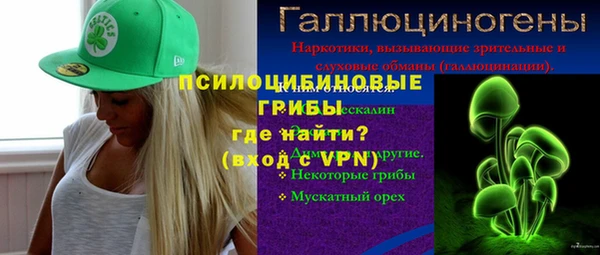 тгк Нея