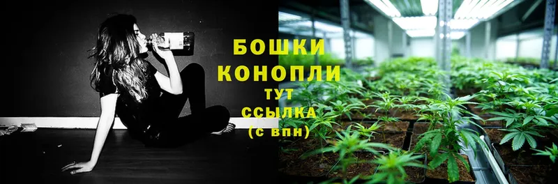 Каннабис планчик  продажа наркотиков  Подпорожье 